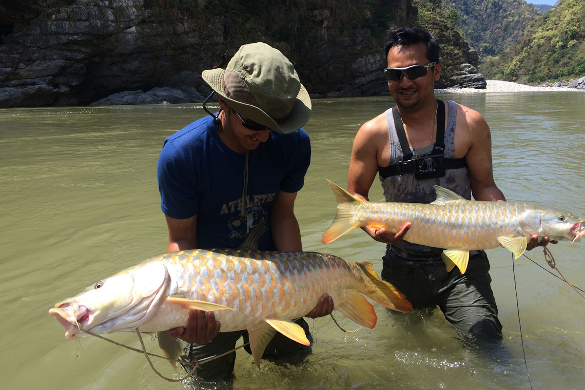 HIMALAYAN TIGHTLINES