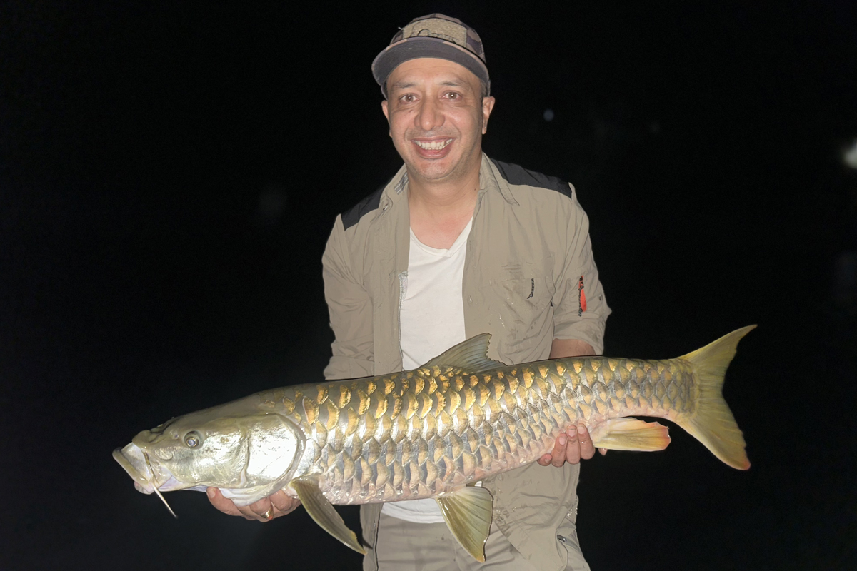 HIMALAYAN TIGHTLINES