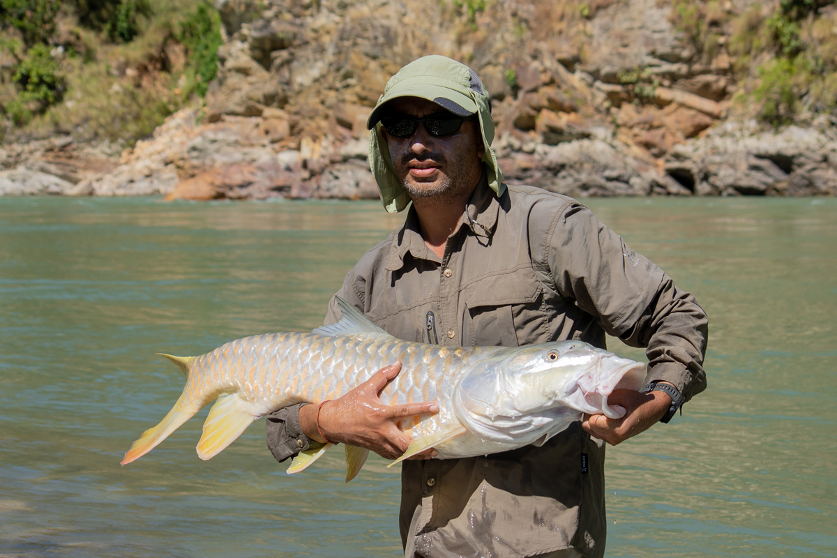 HIMALAYAN TIGHTLINES